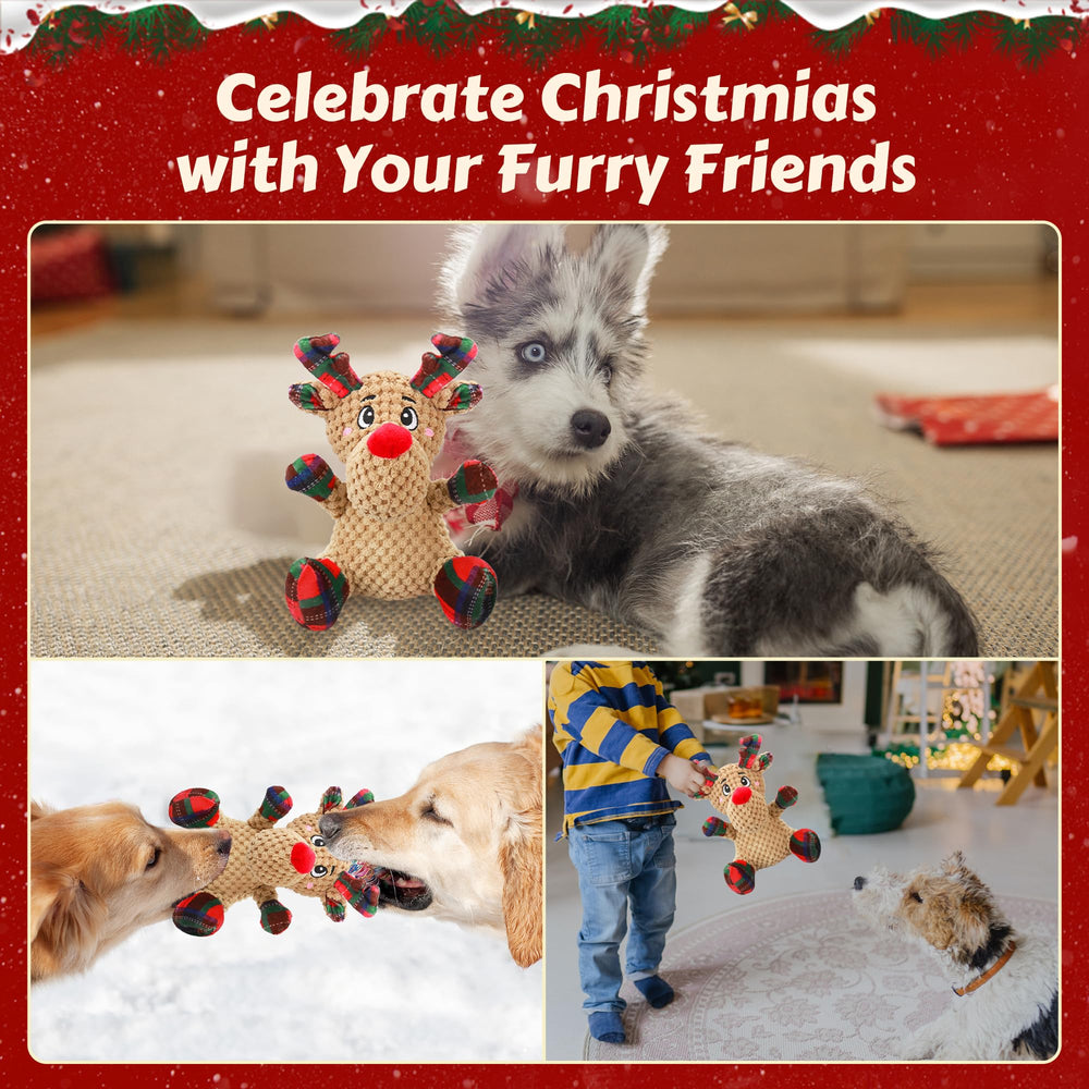 Newget dishwasher-safe dog toy for easy cleaning after fun