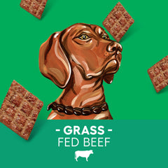 Newman's Own Dog Jerky Beef Original back highlights ingredients and grain-free nutrition.