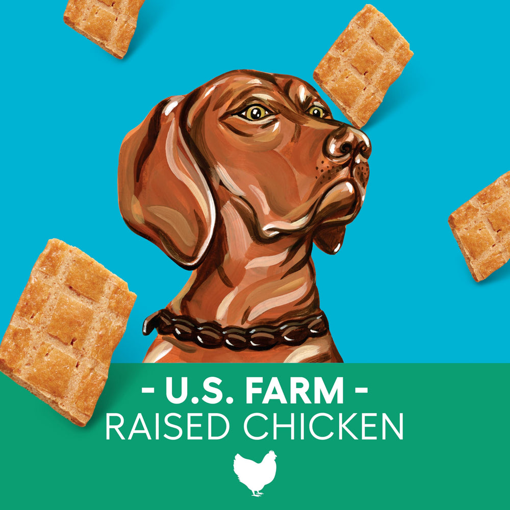 Newman's Own Jerky Dog Treats Original Chicken pieces ready for training rewards