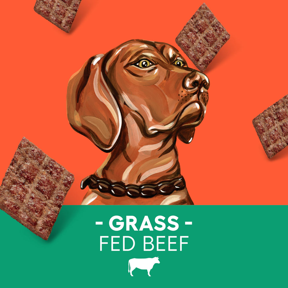 Newman's Own Jerky Treats dogs grass-fed beef detail—whole-muscle texture