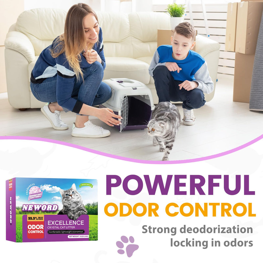 NEWORD Crystals Cat Litter dust-free formula shown on clean floor