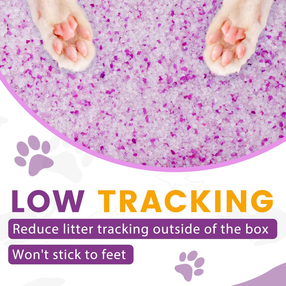 NEWORD Crystals Cat Litter showcasing low-tracking in action