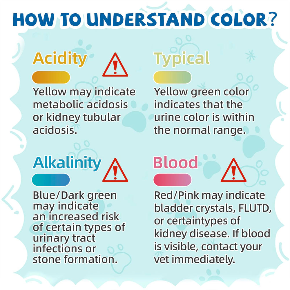 NEWORD non-clumping crystal-litter offers easy scooping and low maintenance