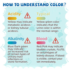 NEWORD non-clumping crystal-litter offers easy scooping and low maintenance