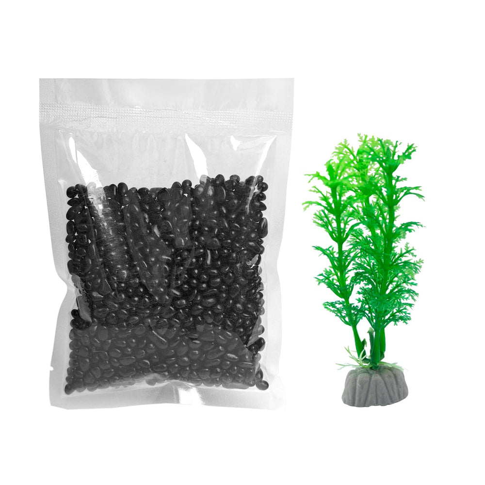 Newpol mini aquarium dimensions image references 7x7x6.5 inches.