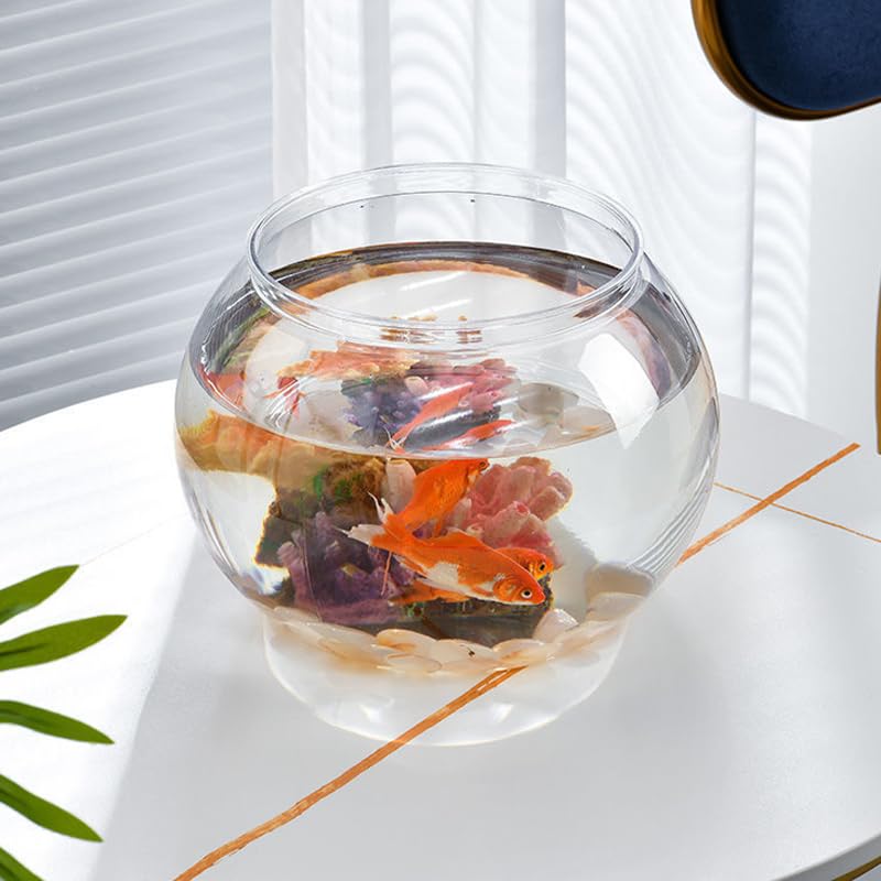 Newpol aquarium gift option display shows a stylish ready-to-gift decor piece