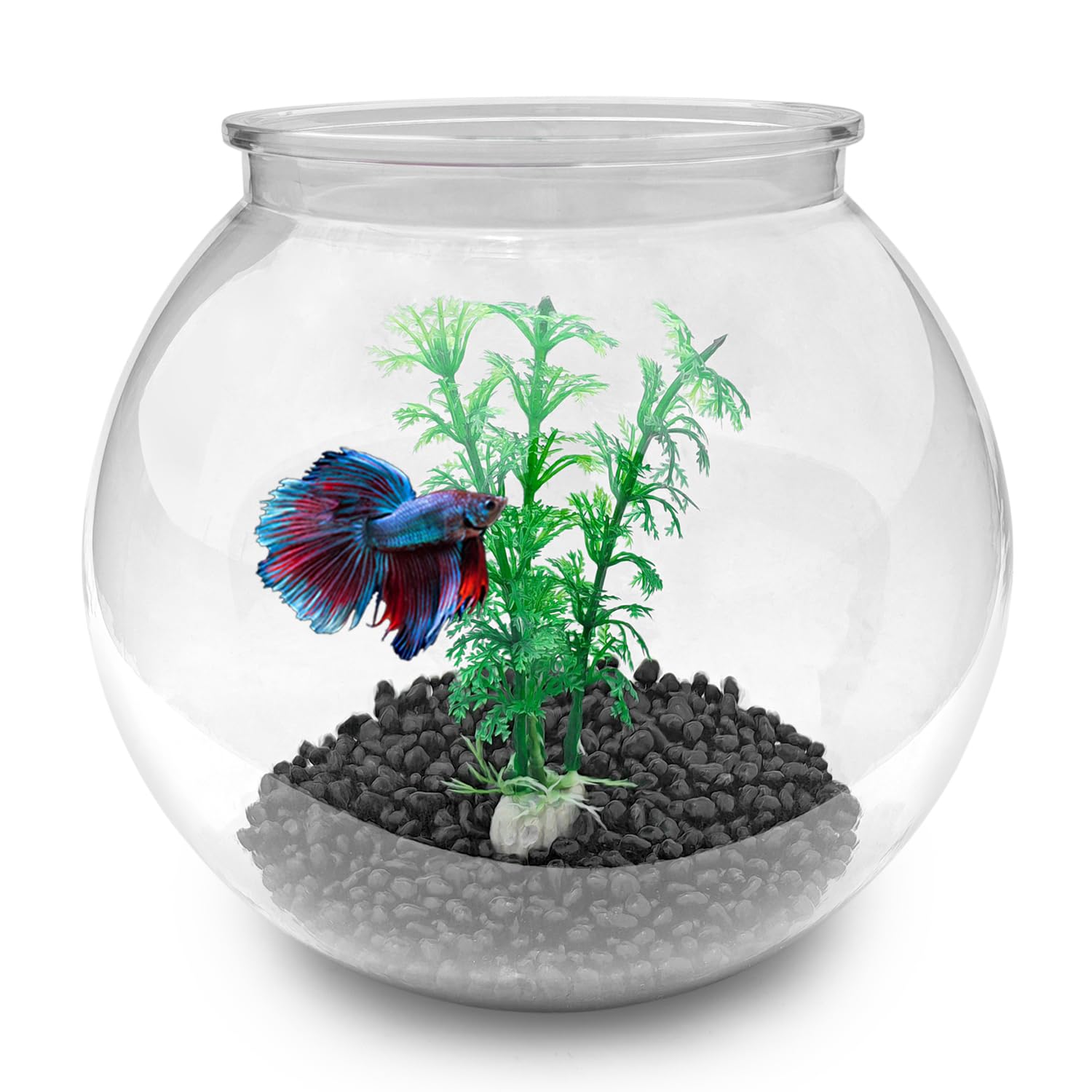 Newpol mini aquarium bowl side view highlights compact, space-saving design for any room.