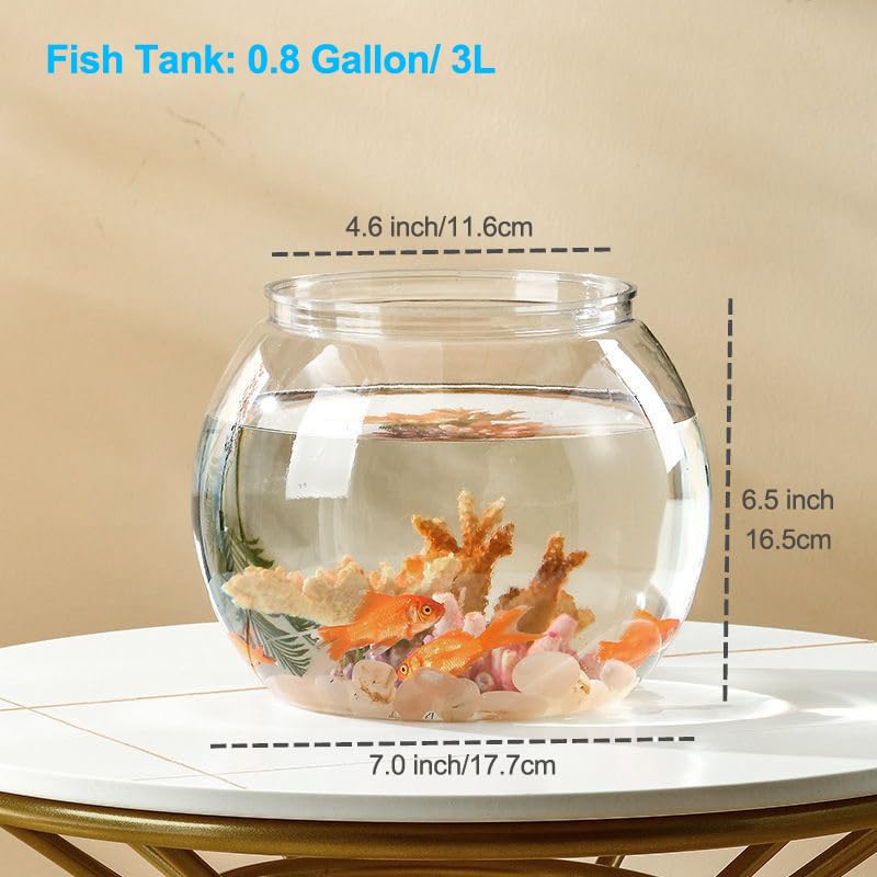 Newpol Mini Aquarium multi-angle view allows observing fish from several angles