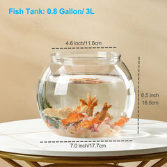 Newpol Mini Aquarium multi-angle view allows observing fish from several angles