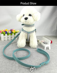 Newtensina harness blue close-up shows soft microfiber comfort for walks.