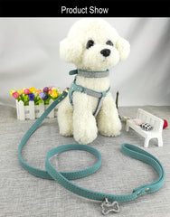 Newtensina leash blue 120cm for reliable control on daily adventures.
