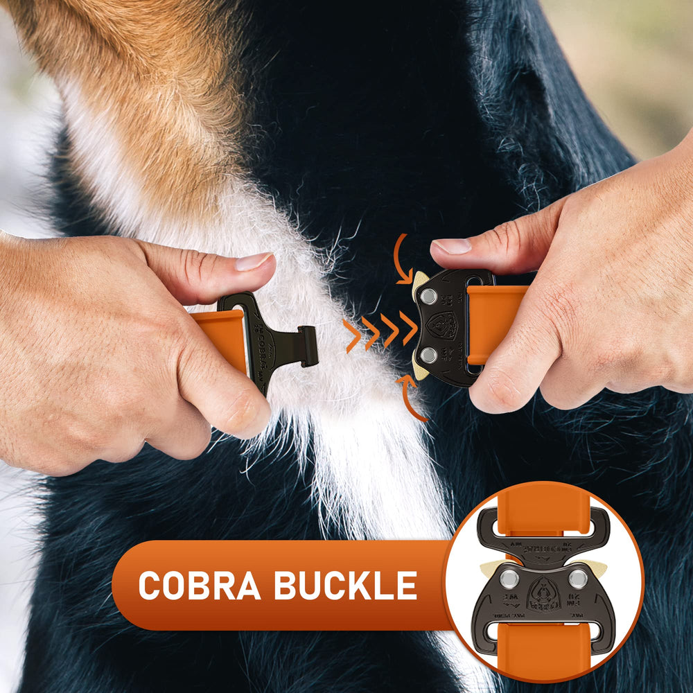 NexaPaw heavy-duty strap demonstrates rugged construction for daily use.