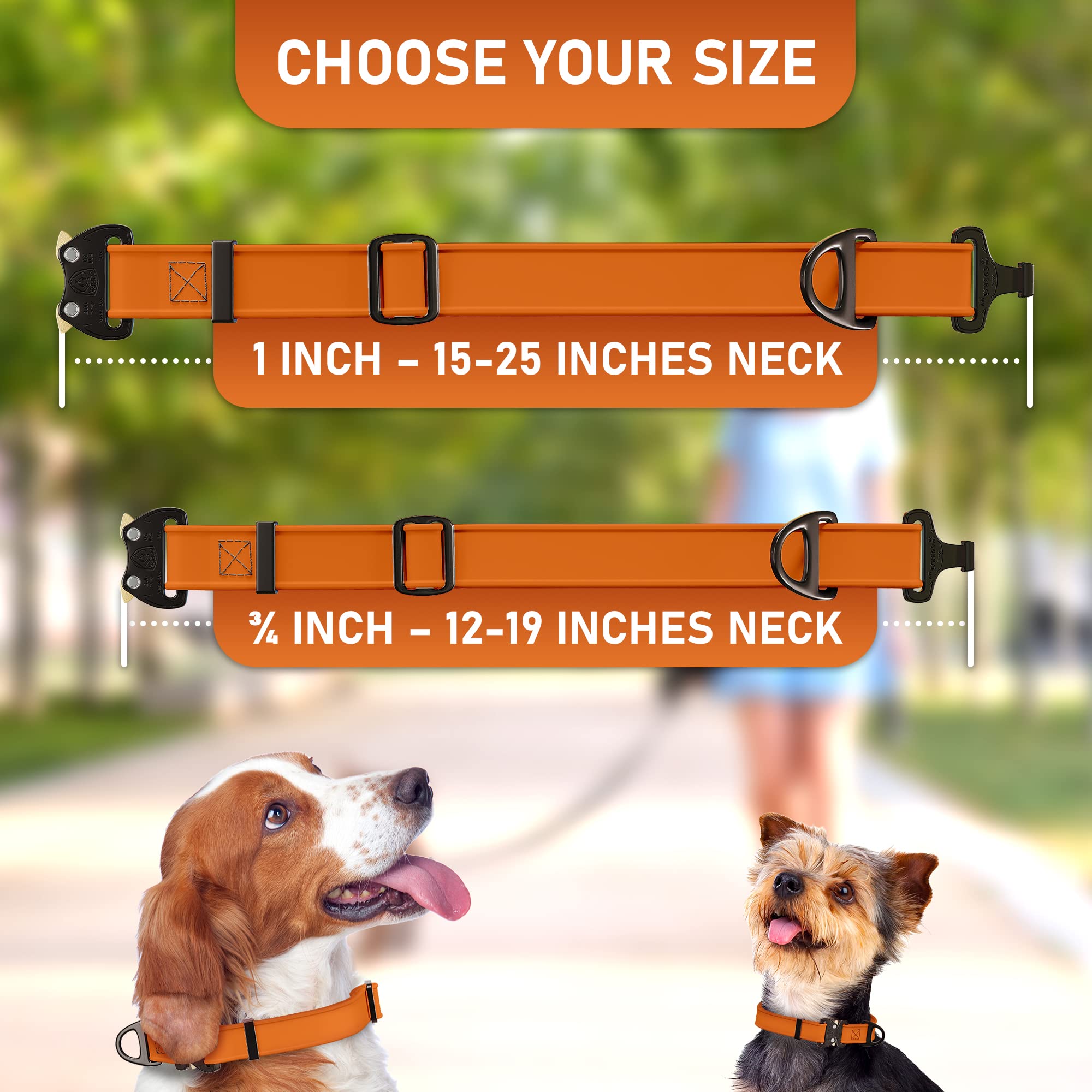 NexaPaw orange visibility collar helps keep dogs visible outdoors.