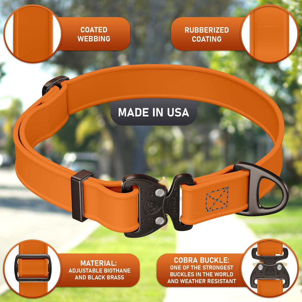 NexaPaw Biothane collar with QR tag for fast ID retrieval.