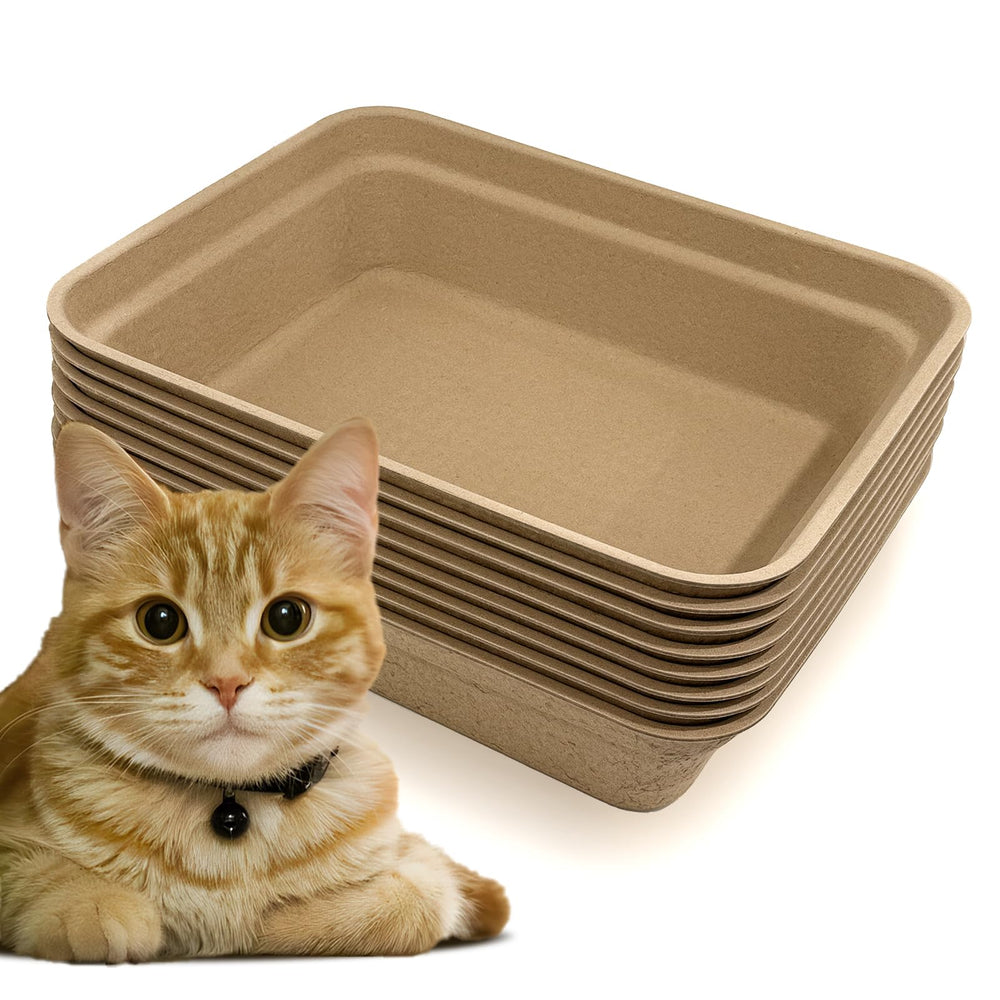 Nexboraque 8-pack disposable litter box top view with large 17x13.2-inch tray for cats