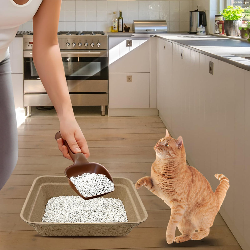 Nexboraque easy-clean disposable tray in hand illustrates mess-free disposal