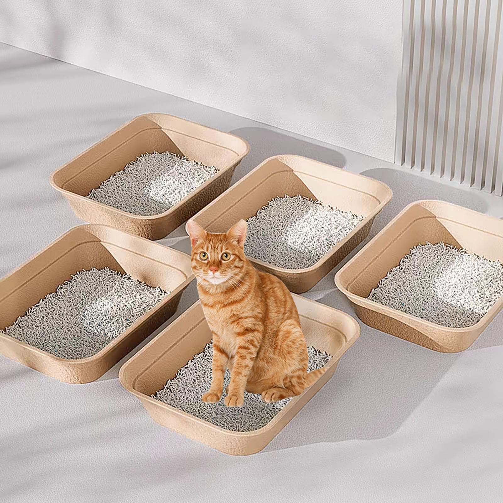 Nexboraque replacement interval illustration suggests a two-week schedule