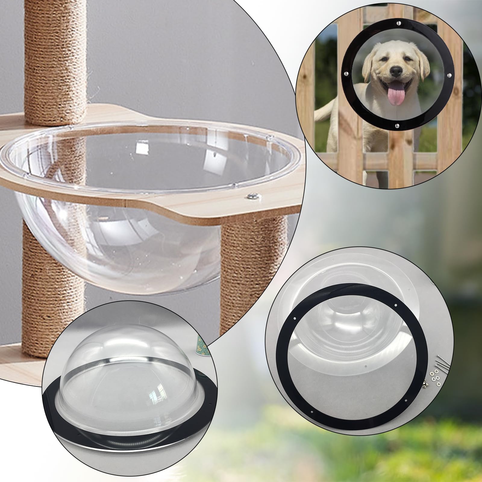 Nexboraque wide-field view supports pet exploration while keeping them safely contained.