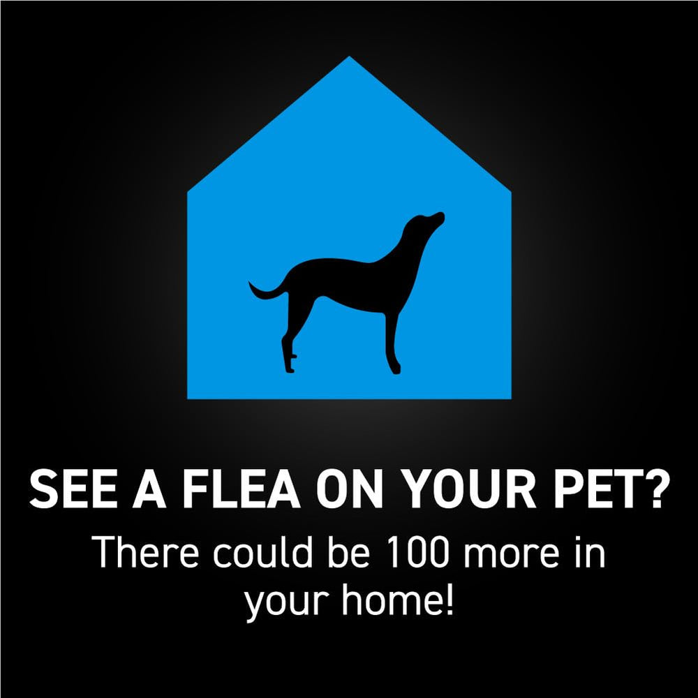 NEXTSTAR fast-acting application demonstrates protection starting in 15 minutes on pets.