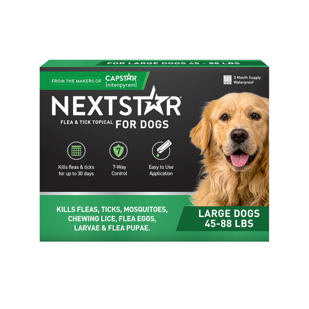 NEXTSTAR flea-tick prevention bottle ready for quick protection on dogs