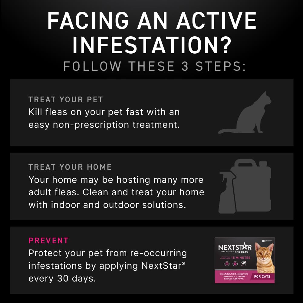 NEXTSTAR lifecycle defense visual implies interruption of flea and tick development.