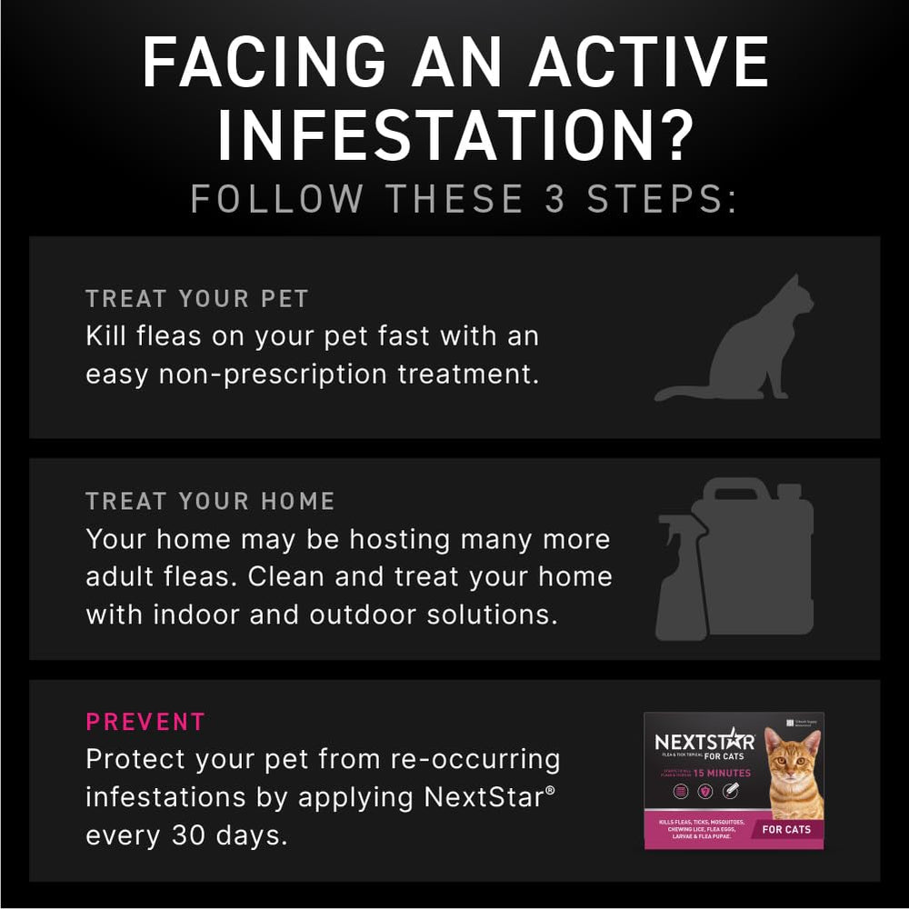 NEXTSTAR lifecycle defense visual implies interruption of flea and tick development.