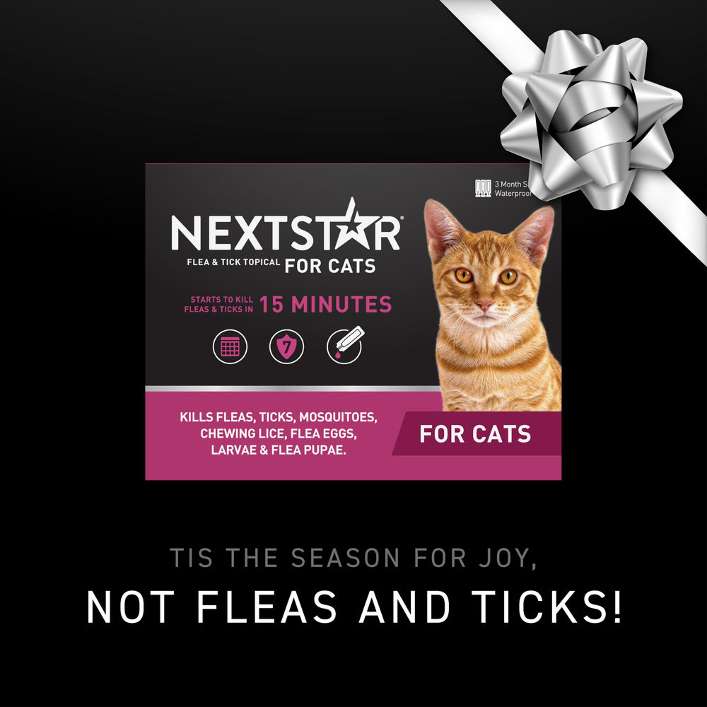 NEXTSTAR topical drops applied on cat skin provide fast protection.