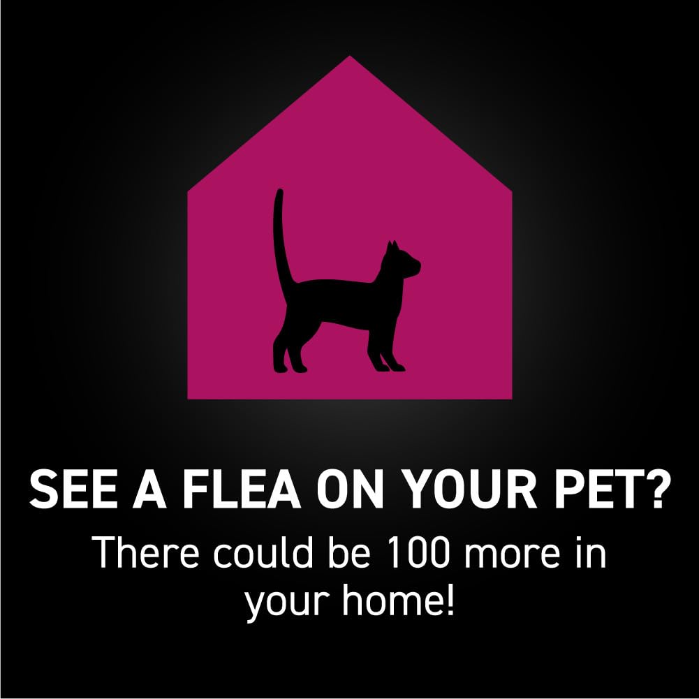 NEXTSTAR vet-recommended label signals trusted flea and tick defense.