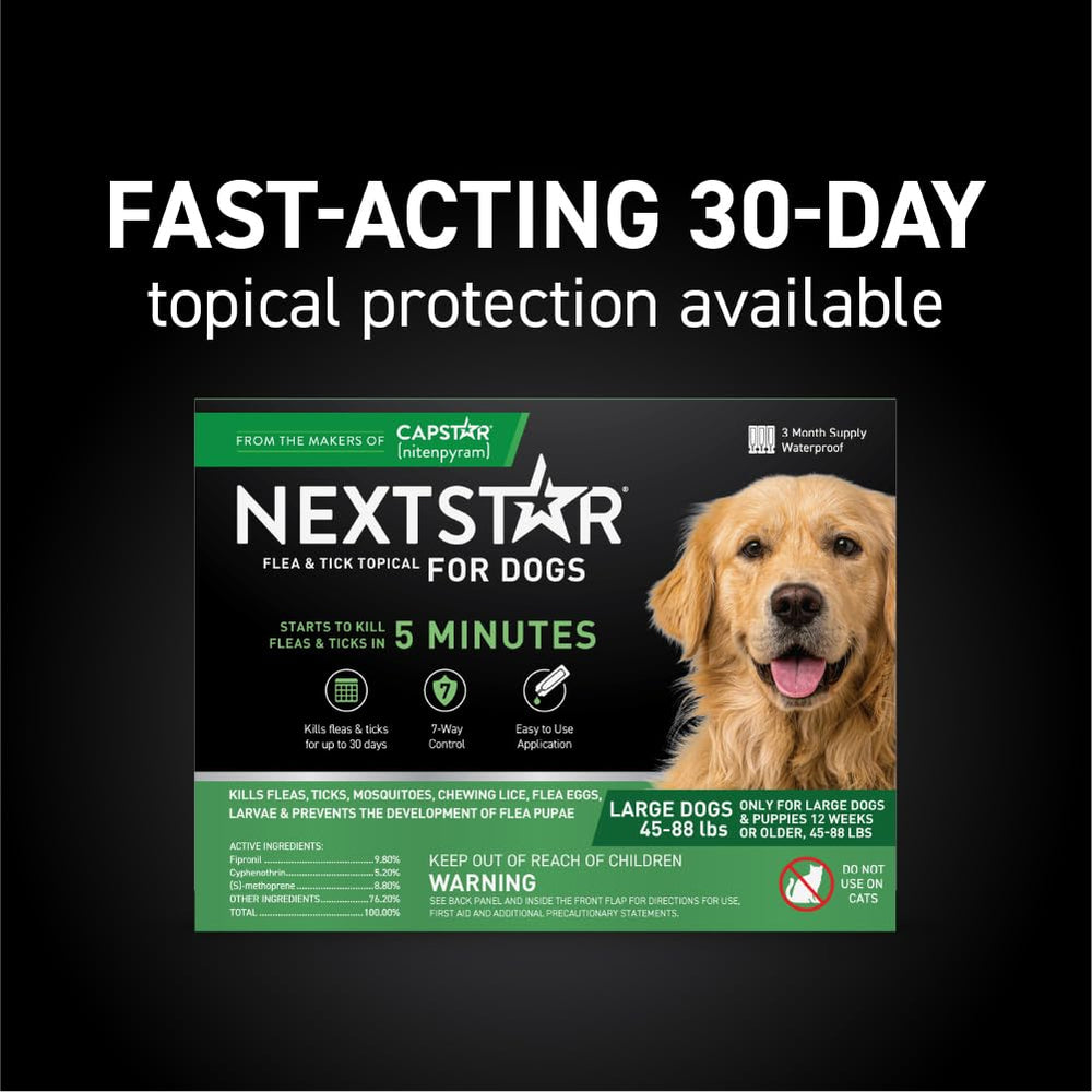 NEXTSTAR waterproof-dog-coat-protection demonstrates rainproof topical durability for outdoor adventures