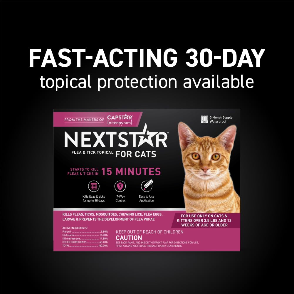 NEXTSTAR waterproof formula stays protective after baths or rain.