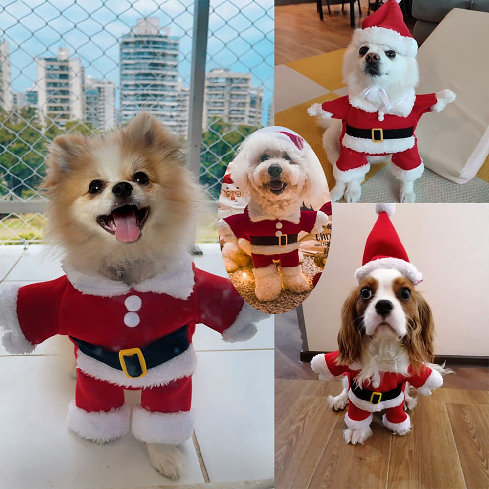 nezababycos dog Christmas photos-ready outfit ideal for family gatherings.