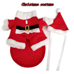 nezababycos dog Santa hat red close-up for merry seasonal outfits.