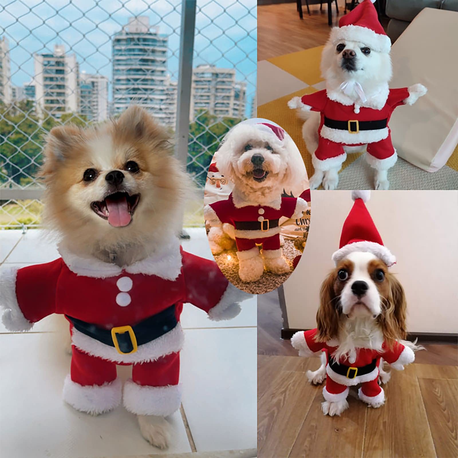 nezababycos family-christmas-photo-ready look enhances pet-in-family moments