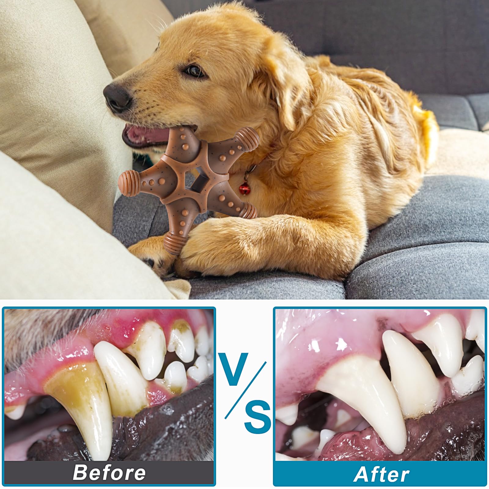 NEZIN aggressive-chewer nylon toy demonstrates long-lasting resilience for powerful bites