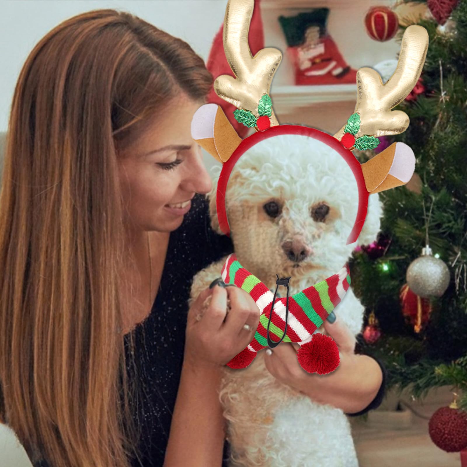 Ngdhkd complete Christmas pet accessory pack for celebrations