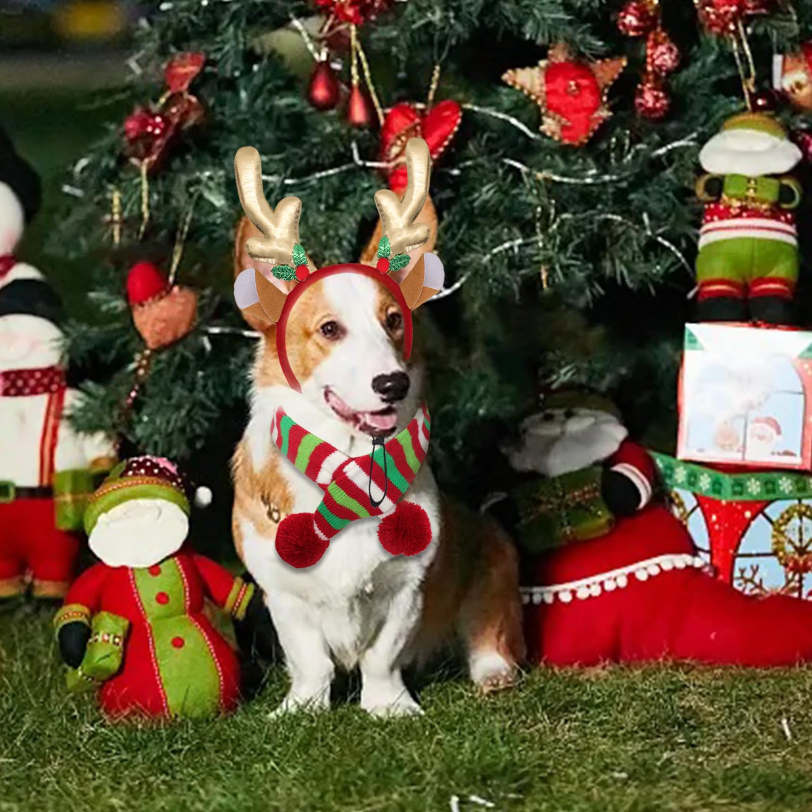 Ngdhkd pet Christmas costume set in a family portrait scene