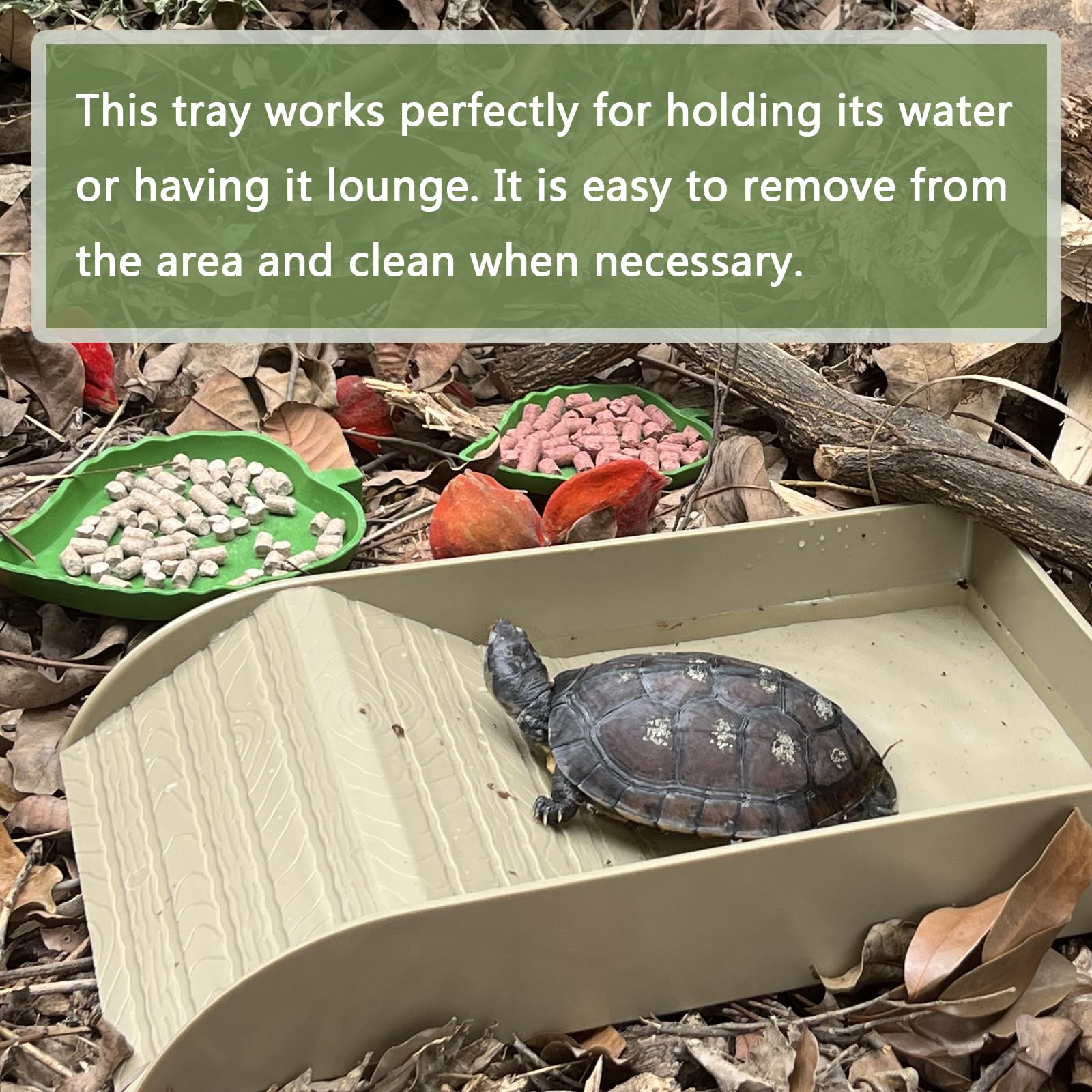 NGORAY tortoise feeding dish includes an easy-clean clip for maintenance.