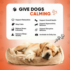 NHWHDJH hemp calming chews for dogs label closeup highlights natural ingredients and safety