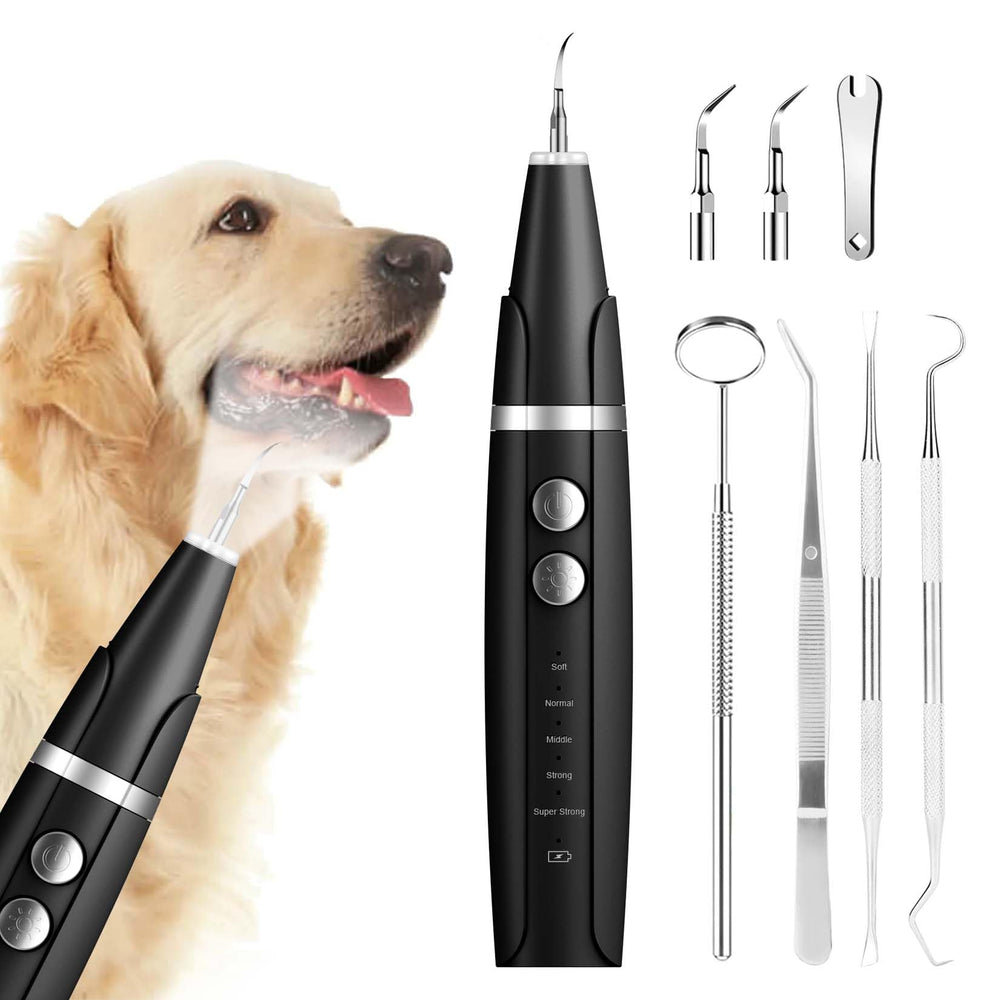 Ni-SHEN plaque remover front view for home dental care