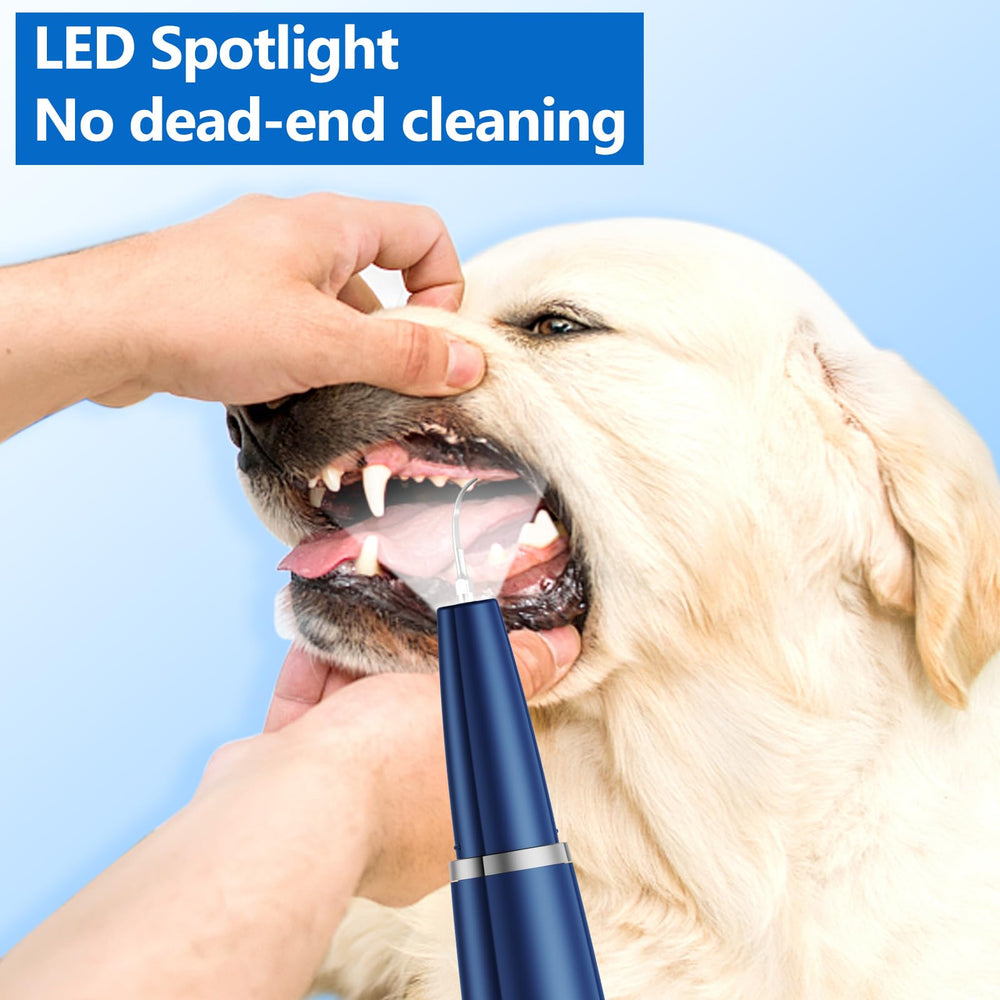 Ni-SHEN dental tools scraper-mirror-tweezer blue illustrating versatile tartar removal instruments.