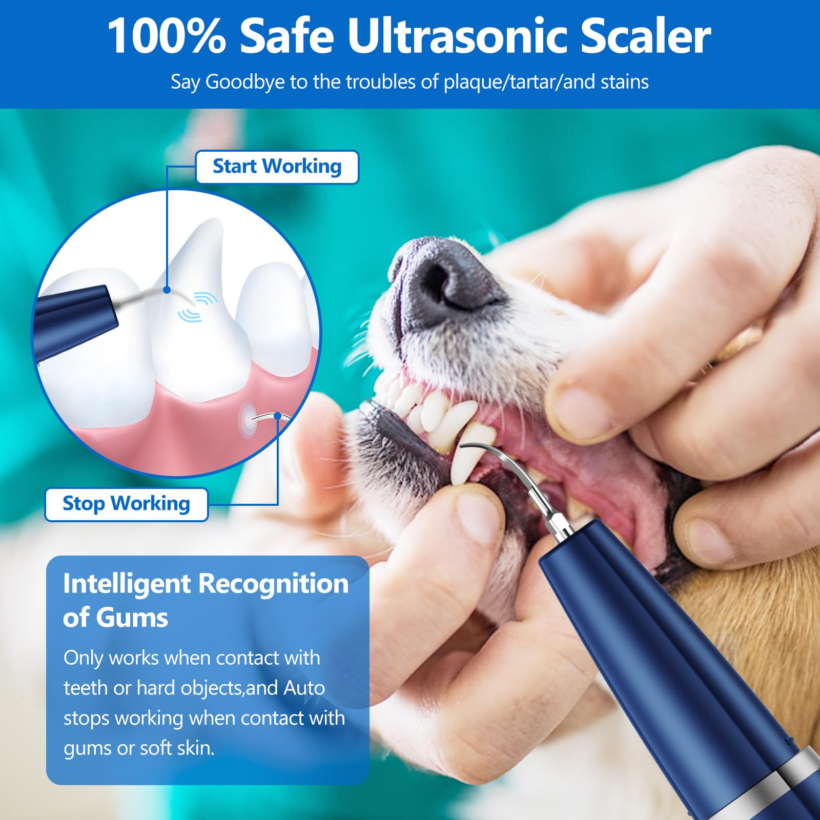 Ni-SHEN dog plaque remover ultrasonic cleaner side view highlights portable pet dental care on the go.