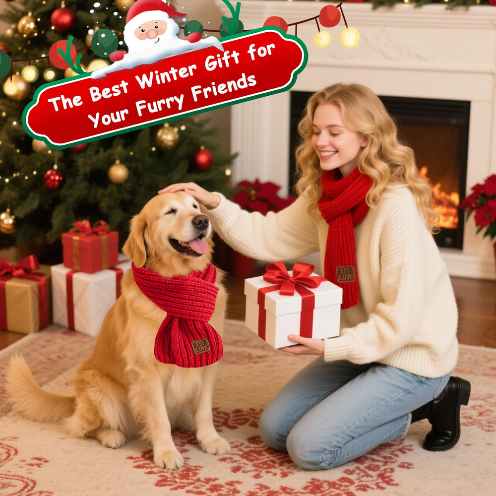 Nibnozy dog christmas bandana holiday photo shot captures cheerful moments.