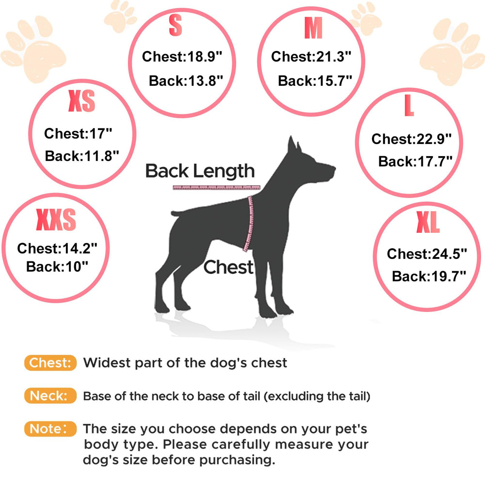 Nibnozy two-tone dog coat style showcases fashionable winter walk appearance.
