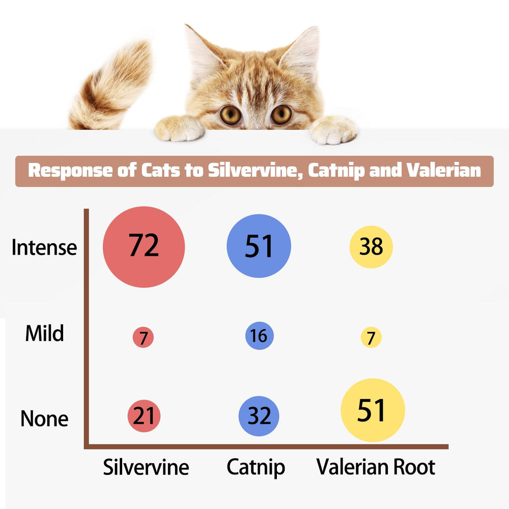 NICERINC PET Silver Vine Powder jar close-up shows pure matatabi aroma