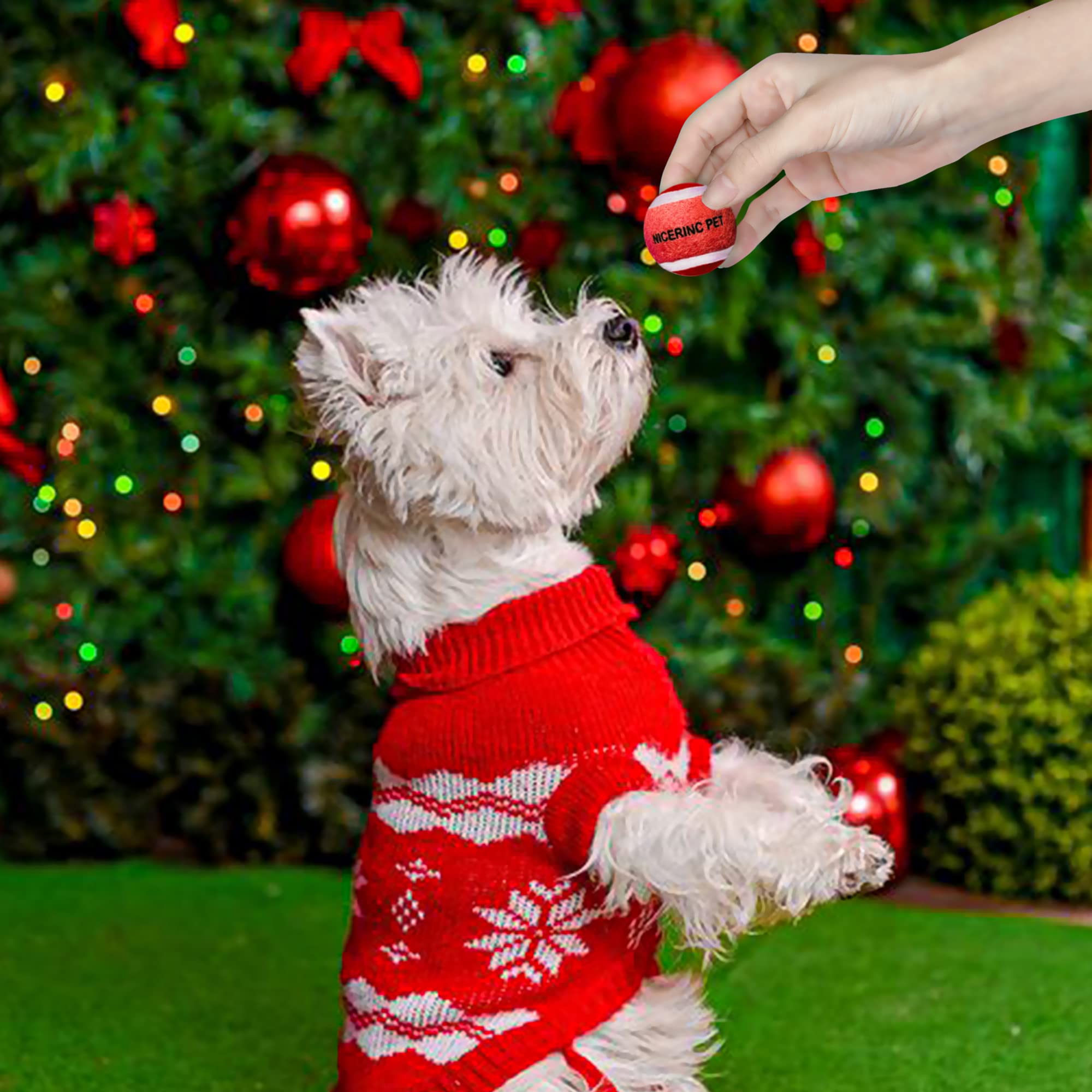 NICERINC PET X-Small tennis ball, bright colors for easy visibility