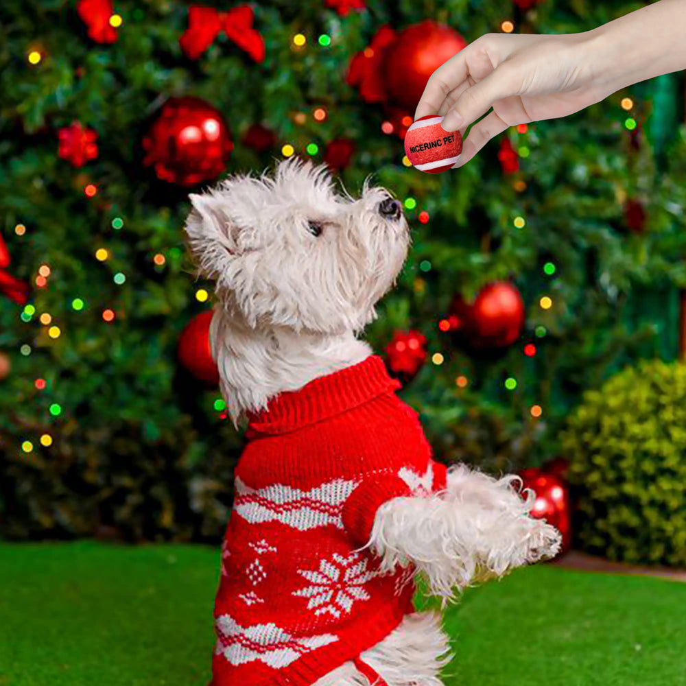 NICERINC PET X-Small tennis ball, bright colors for easy visibility