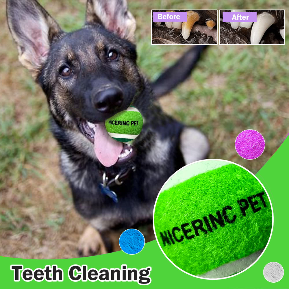 NICERINC PET X-Small tennis ball, launcher-fit for compatibility with launchers