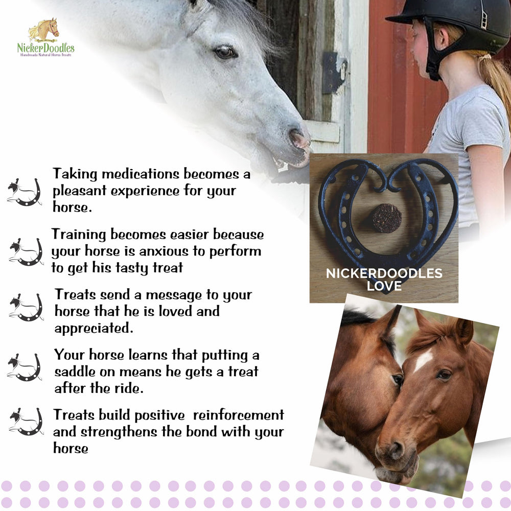 NickerDoodles-bonding-moments photo captures rider and horse sharing treats.