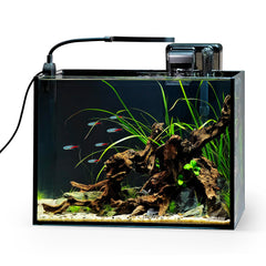 NICREW 2.5-gallon nano nature aquarium kit desktop tank rimless glass for crystal-clear viewing