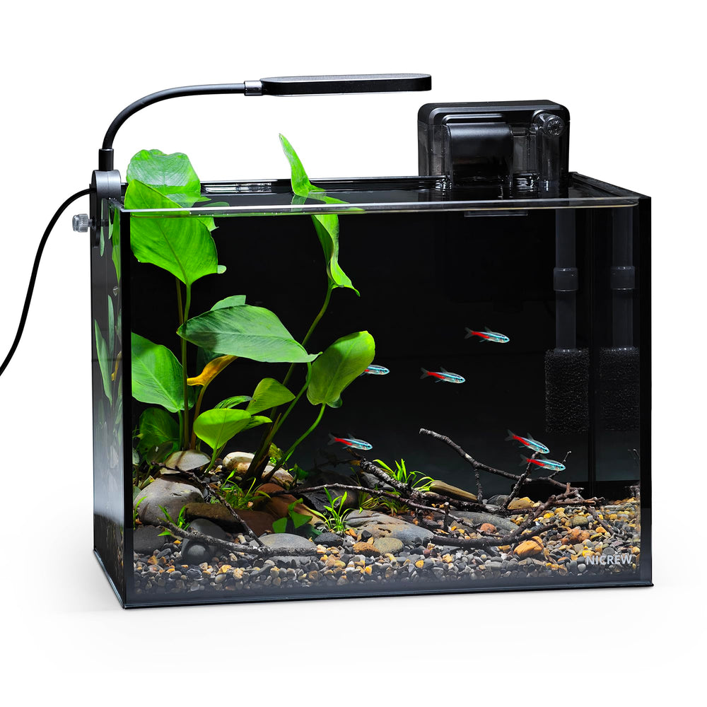 NICREW 2.5-Gallon Nano Nature Aquarium Kit front view—compact desktop tank for small spaces
